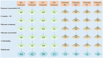 Common autoimmune diseases and urticaria: the causal relationship from a bidirectional two-sample mendelian randomization study